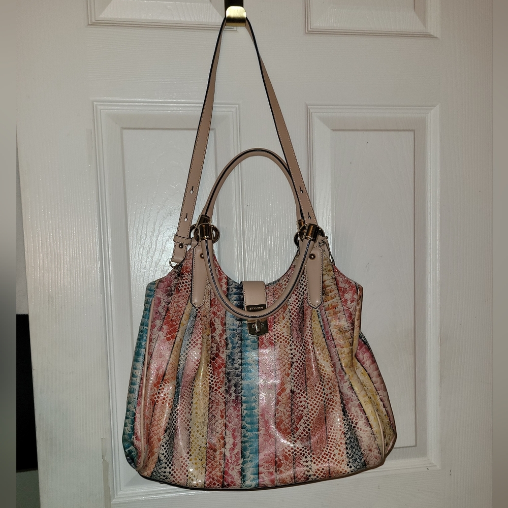 Rainbow Brahmin